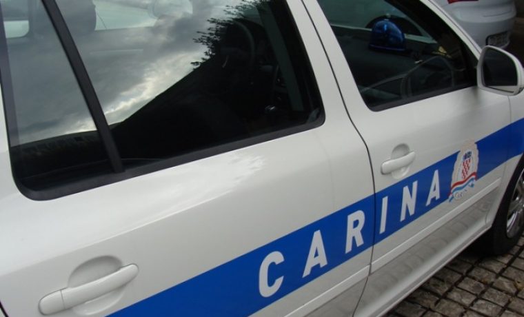 auto__carina_1323177182.JPG