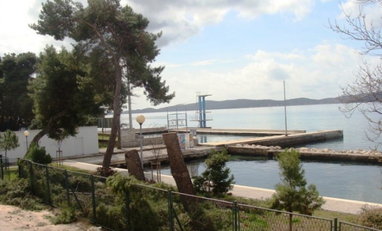 bazen__borovi_1363780291.JPG