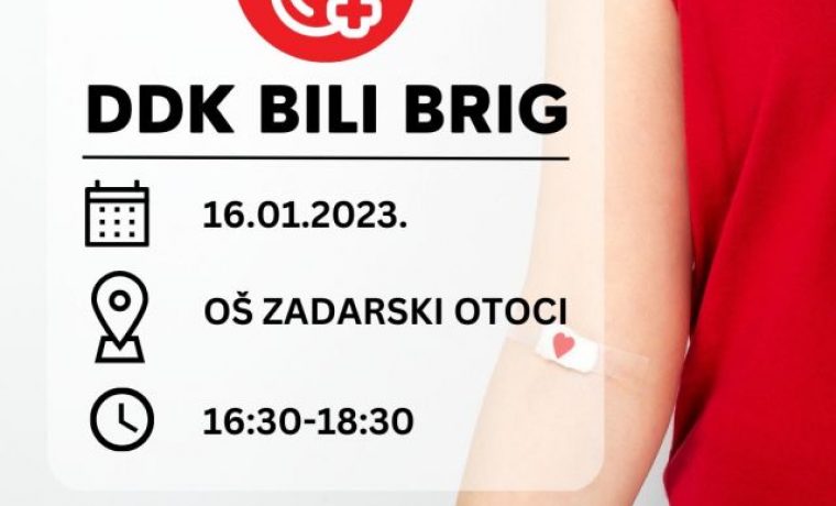 bbrig_1673604123.jpg Foto: DDK Bili brig