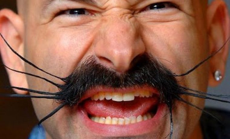 beard_comp_ap_09_5_1328600372.jpg Foto: HRT