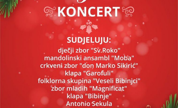 bibinjci_1577354071.jpg