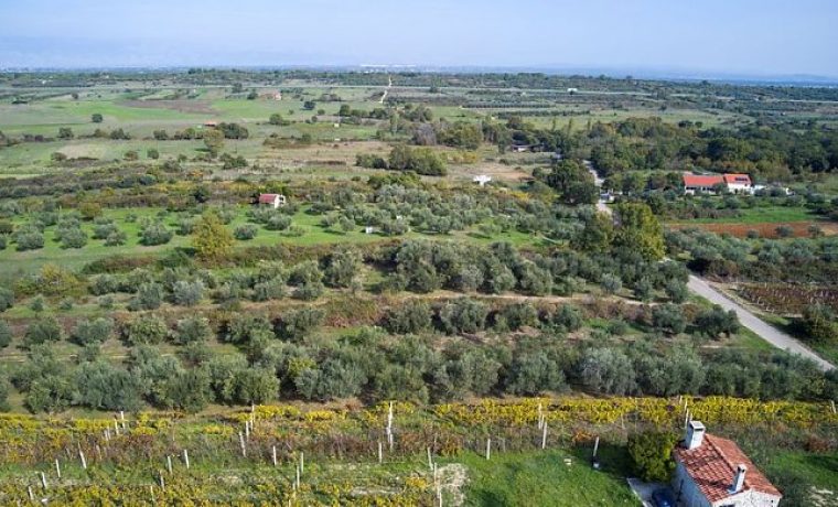 Foto: Leo Banić