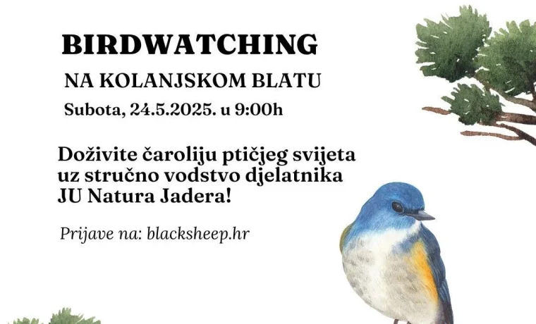 bird2