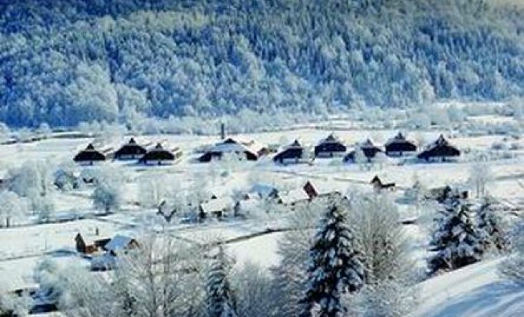 bjelosacica1_1235127303.jpg