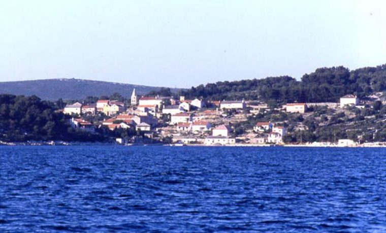 bo_ava_1330500978.JPG