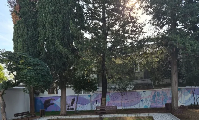 bolnica, mural, naslovna 1