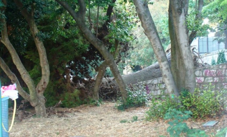 Foto: www.057info.hr (Marino Brkljača)