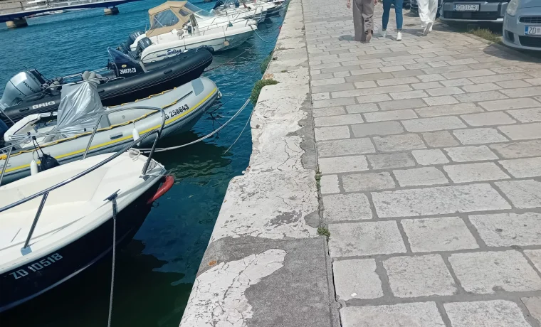 branimirova branimirova