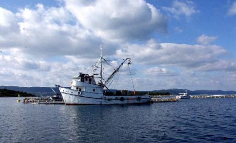 brod__marituna_1292694843.jpg Foto: Arhiva 057info