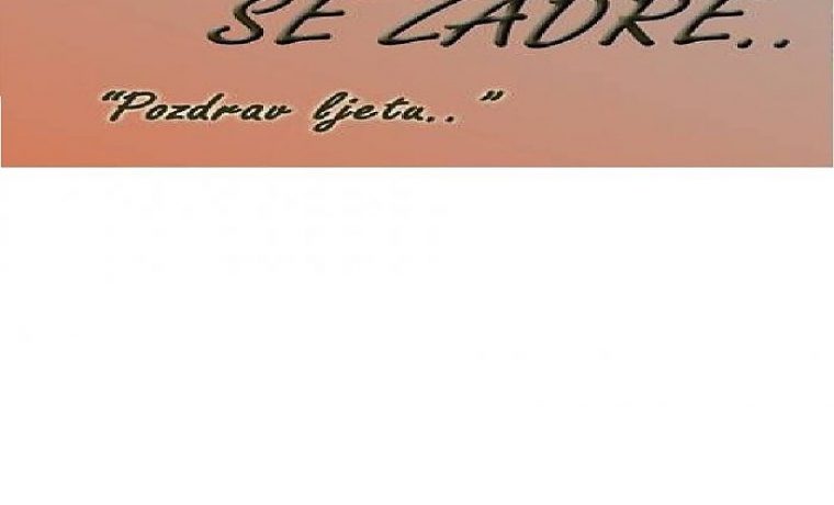 brodarica_1442130320.jpg Foto: Facebook