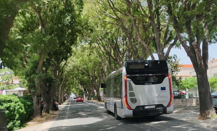 bus1