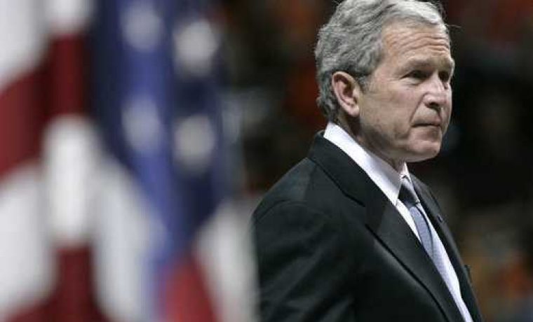 bush_1203244596.jpg