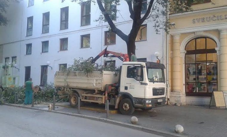 Foto: Akcija mladih