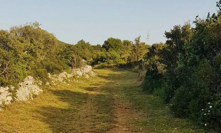 ceprljanda_1560005620.jpg Foto: Naši školji