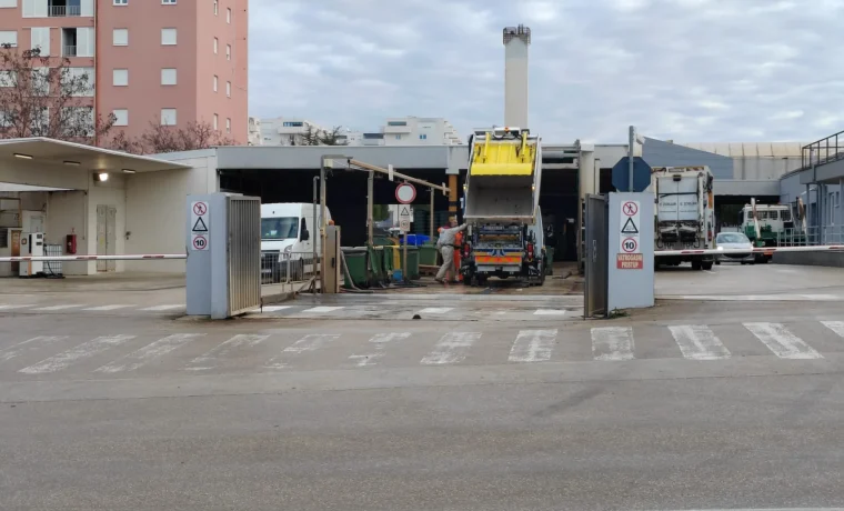 čistoća