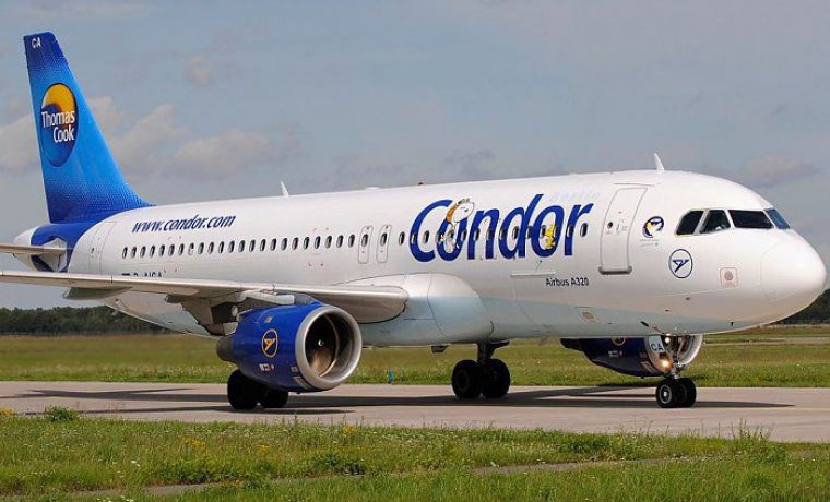 condor_1508137868.jpg