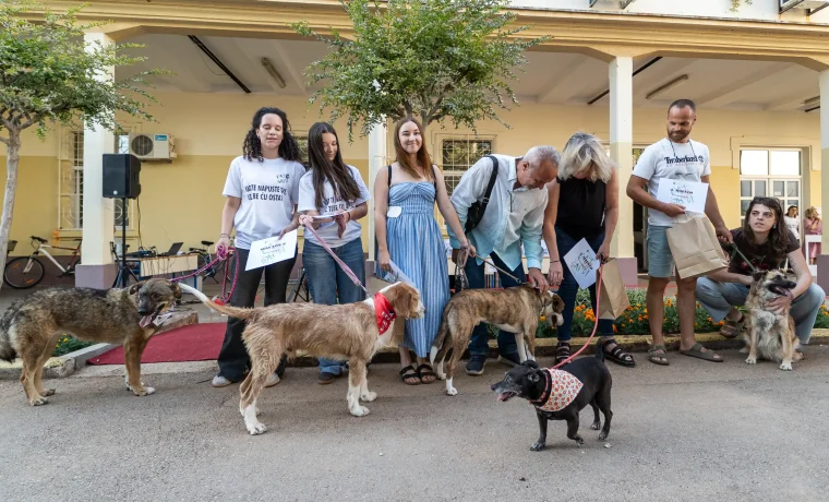 daj sapu amaterska revija pasa azil veterinarska skola (20) daj sapu amaterska revija pasa azil veterinarska skola (20)