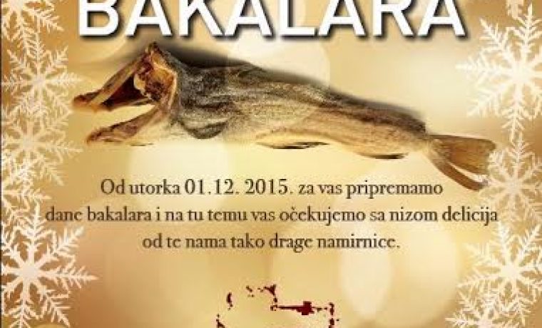 dani_baalara_1448953557.jpg Foto: PR