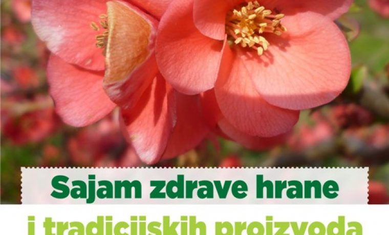 dani_sunca_1429768758.jpg Foto: PR