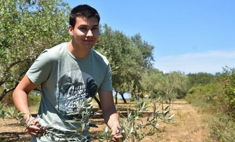 Foto: Agroklub
