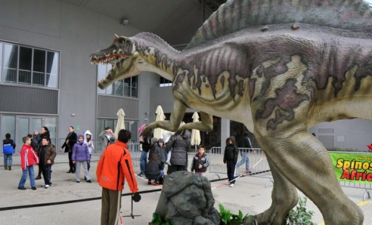 dinos_07_1264926021.jpg