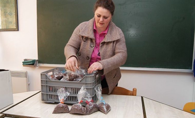 Foto: Zadarski list