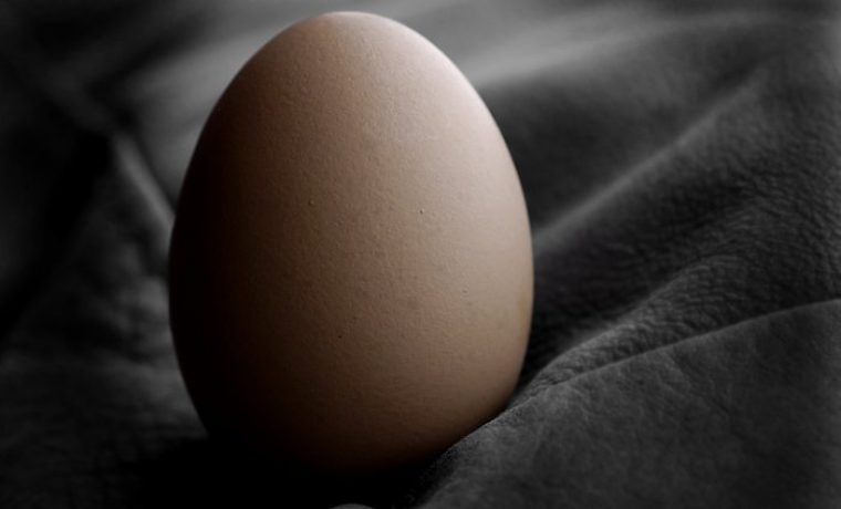 egg_1283875245.jpg