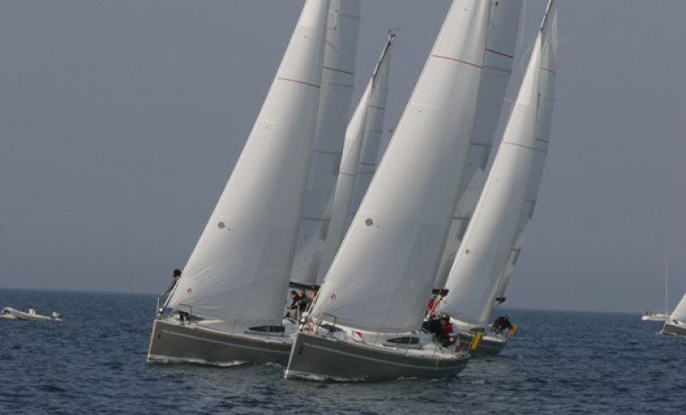elan340_1227458415.jpg Foto: Morsko prase