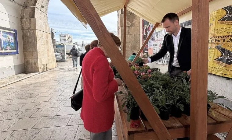 erlaa Foto: Grad Zadar