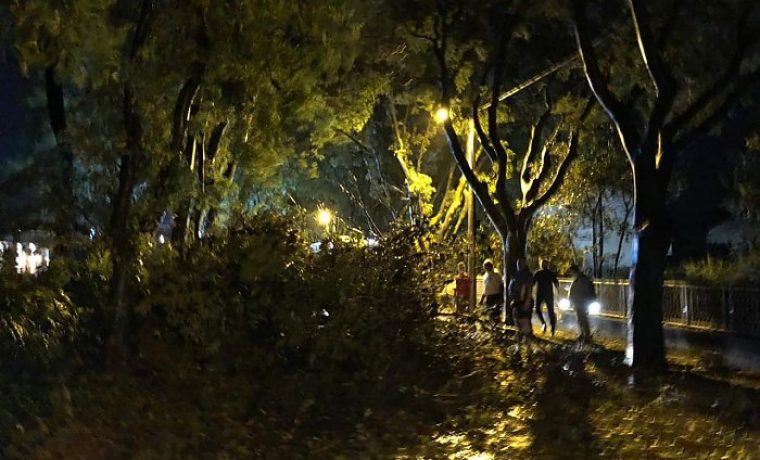 Foto: 057info - Čitatelj