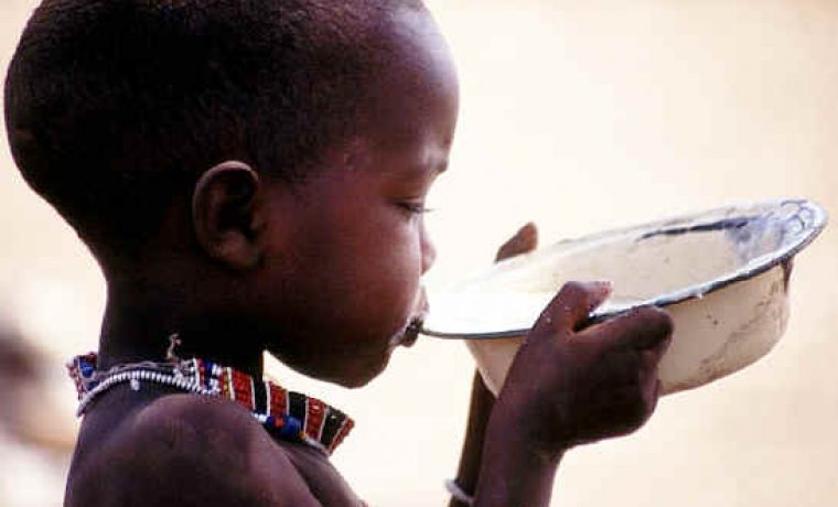 famine_2_1215173574.jpg Foto: whyarewehungry.com
