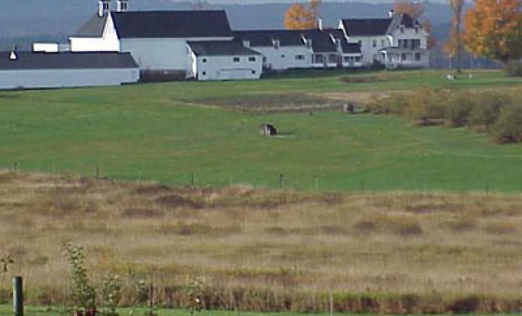farm_1228688391.jpg Foto: HRT