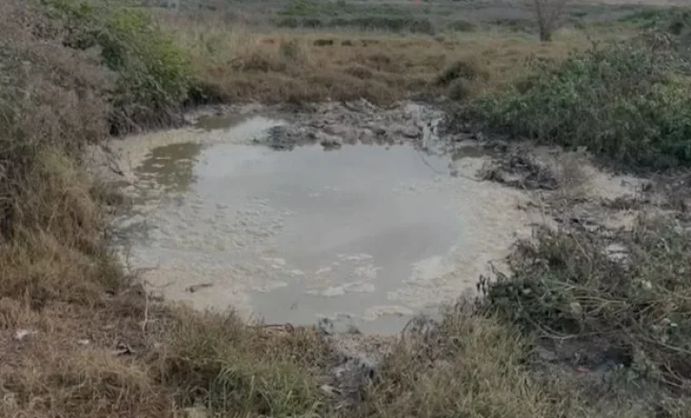 fekalije fekalije