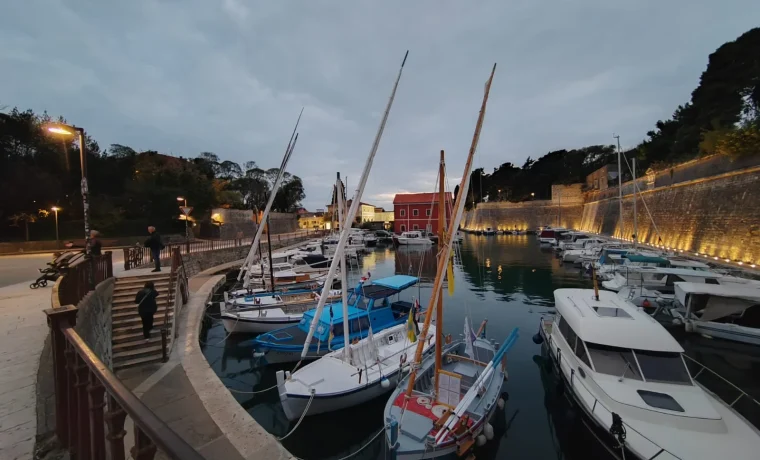 foša, latinsko foša, latinsko