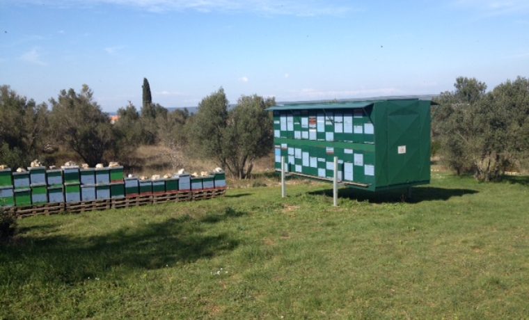 fotografija_1_1395509727.JPG