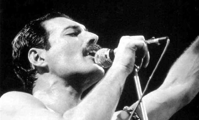 freddie_22_1284794931.jpg freddie_22_1284794931.jpg