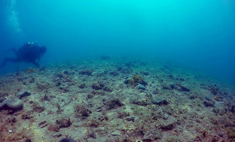 galesnjak1_1560860382.jpg Foto: UNIZD