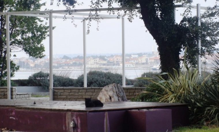 garden_1268845874.JPG