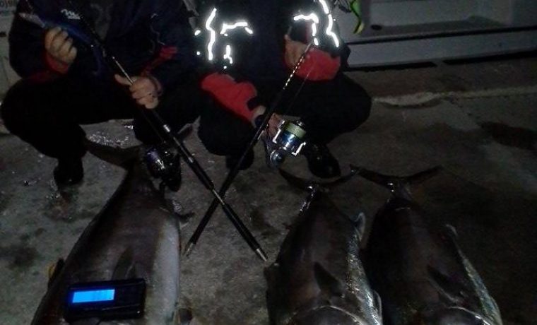 gofovi_n_1389608530.jpg Foto: Facebook