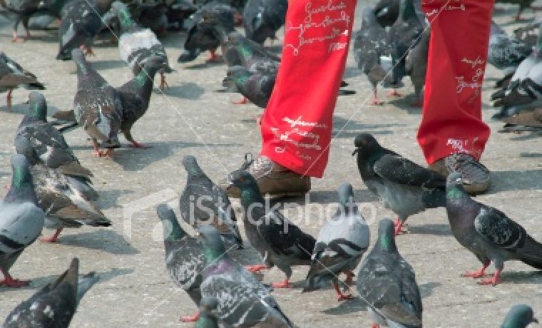 golb_1233696247.jpg Foto: www.057info.hr (arhiva)