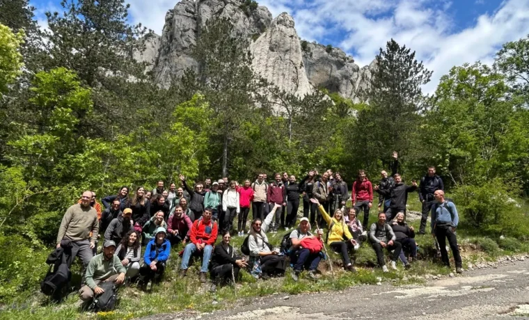 hodoc (13)