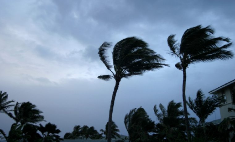 Foto: sciam.com