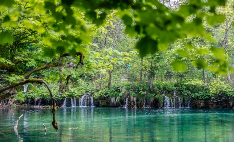 Foto: Vedran Božičević