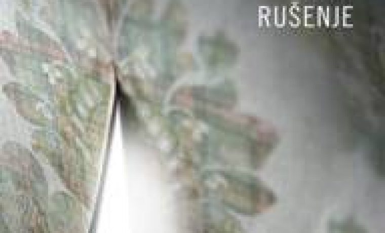 Foto: PR