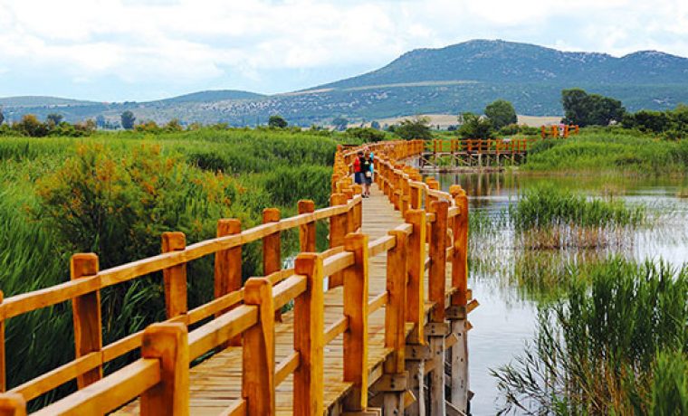 info_centar_crkvine_660x330_1506498229.jpg Foto: PP Vransko jezero