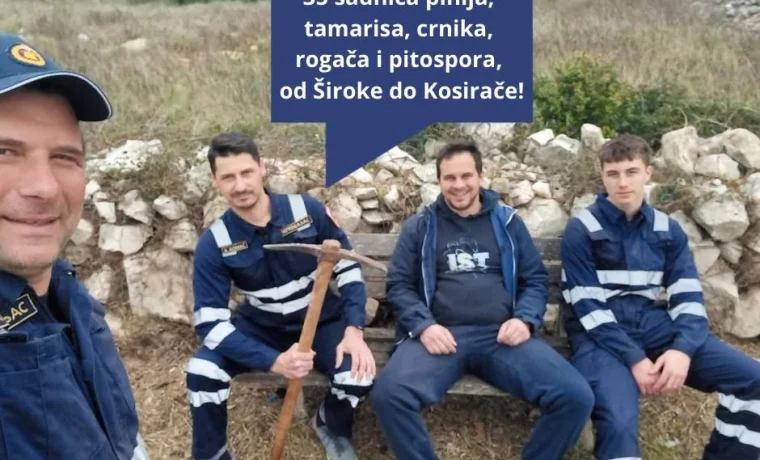 ist, vatrogasci