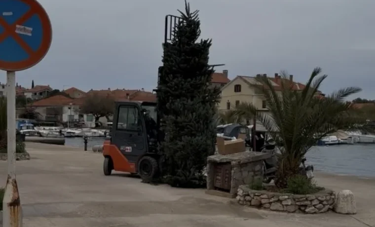 iž, bor