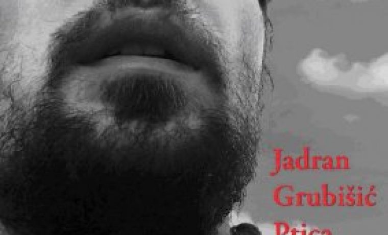 jadran_grubisic_ptica_1249367964.jpg