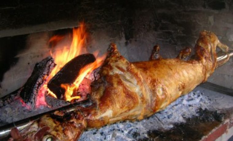 janjci_1284965258.jpg