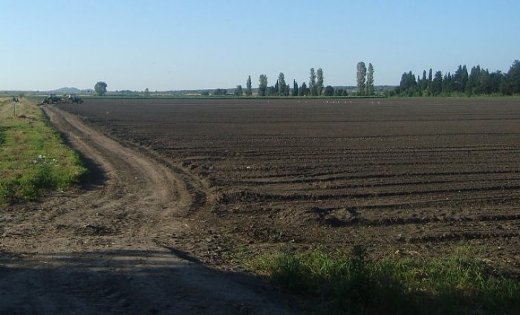 jankolovica_1293693943.JPG
